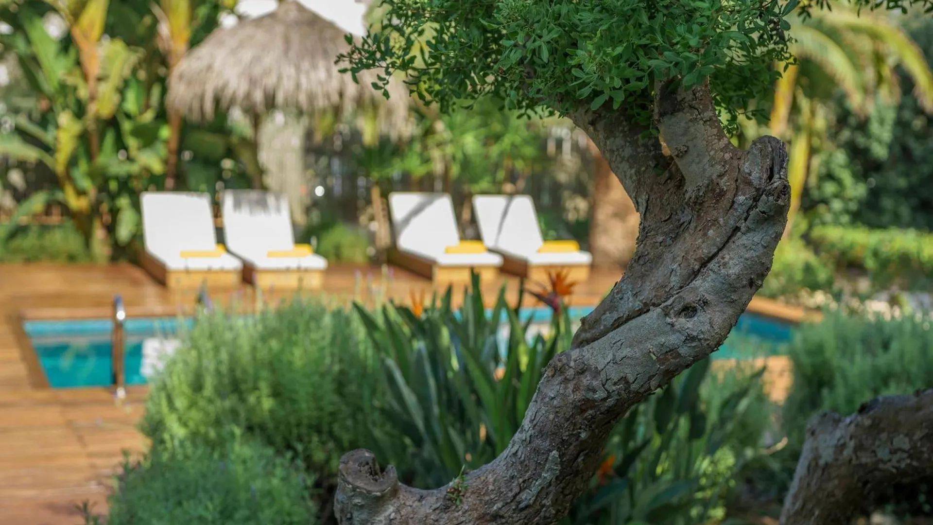 Aparthotel Sa Cala Suites - Formentera Break Es Calo  Španělsko